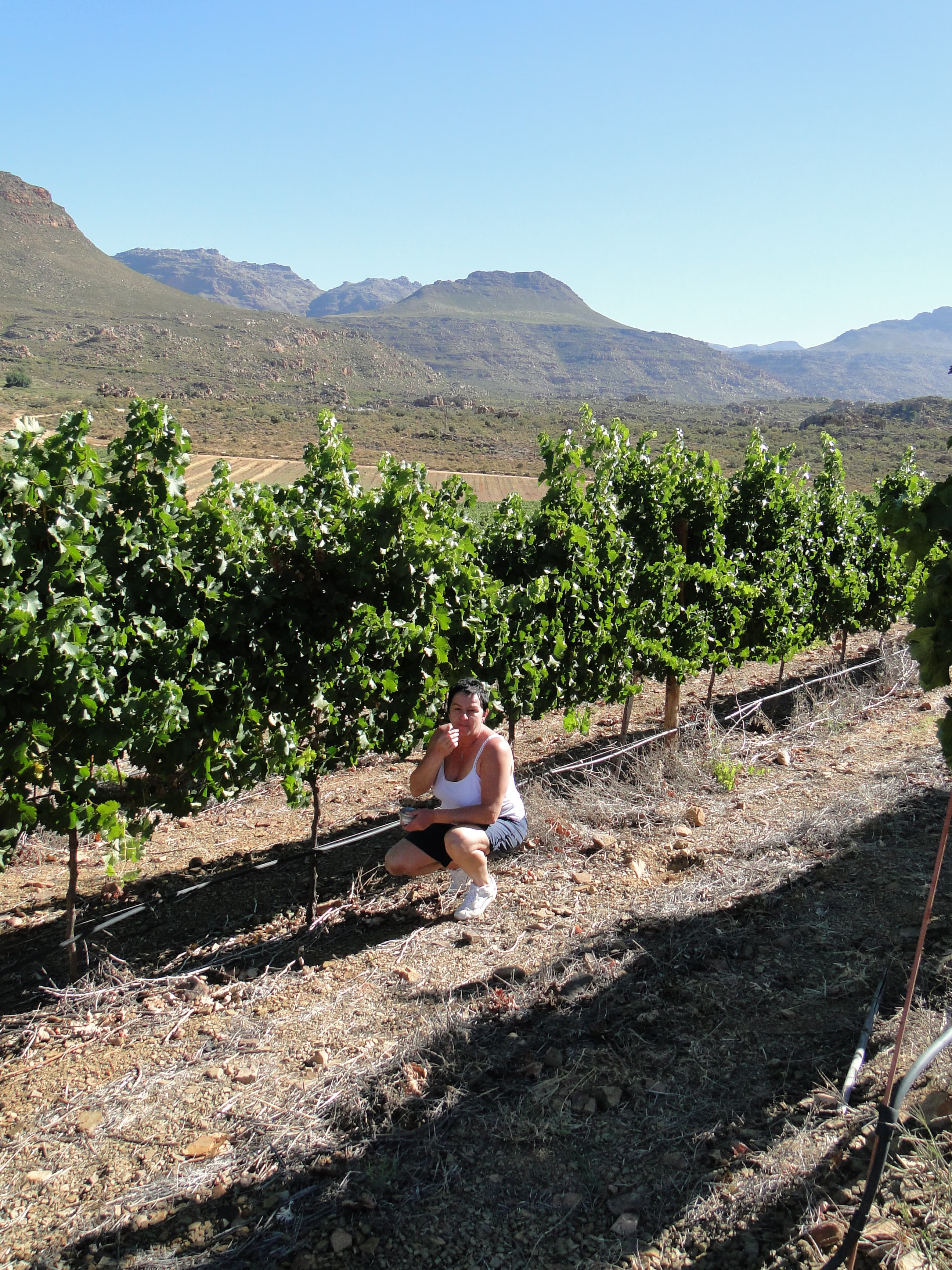 International partner programme - photo 5