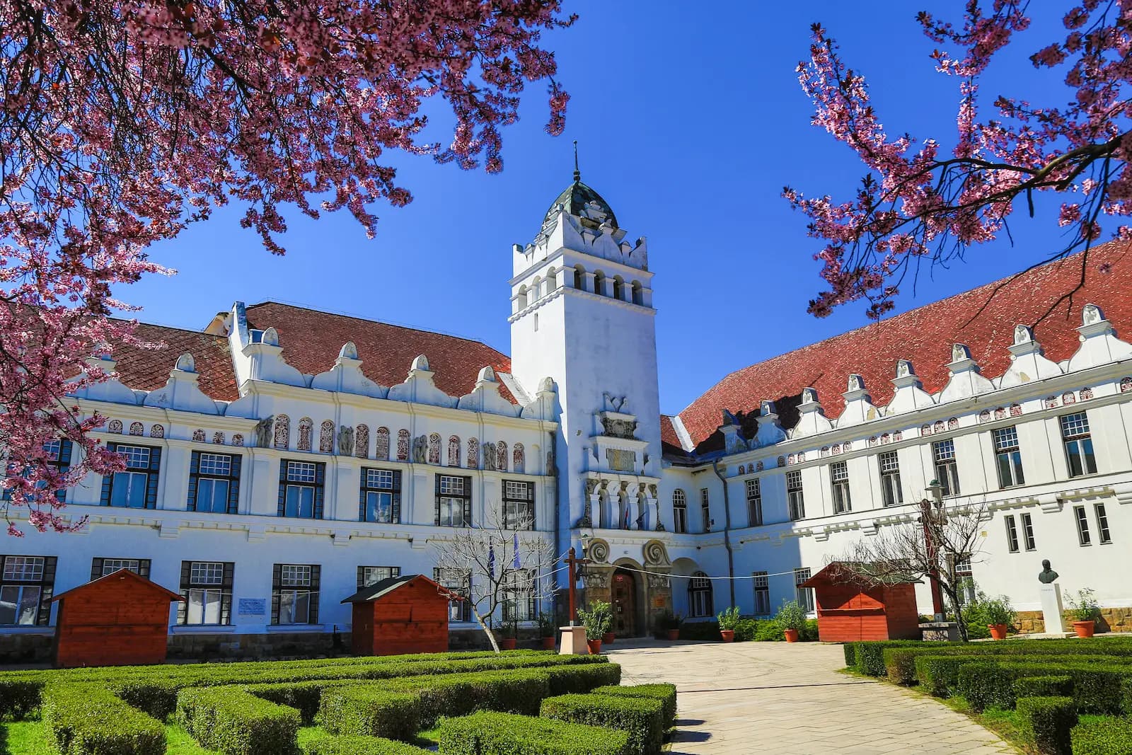 University library and study setting representing wine science education