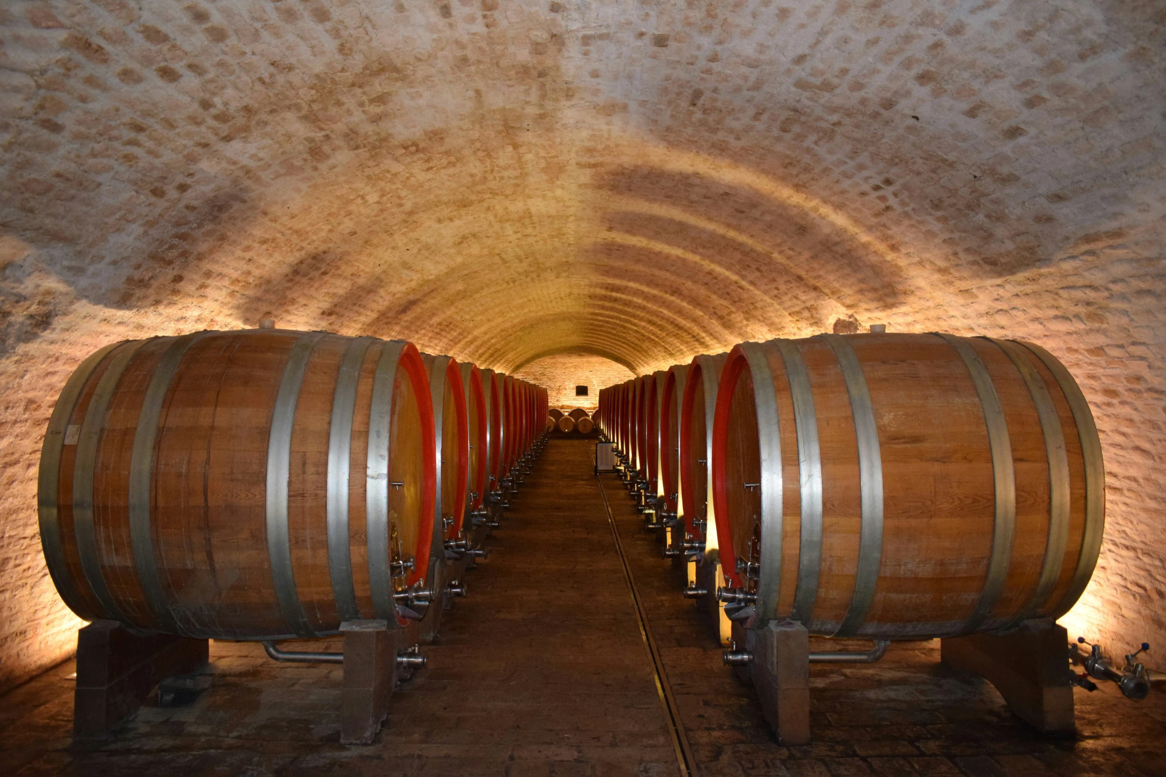 Wooden wine barrels in a traditional cellar